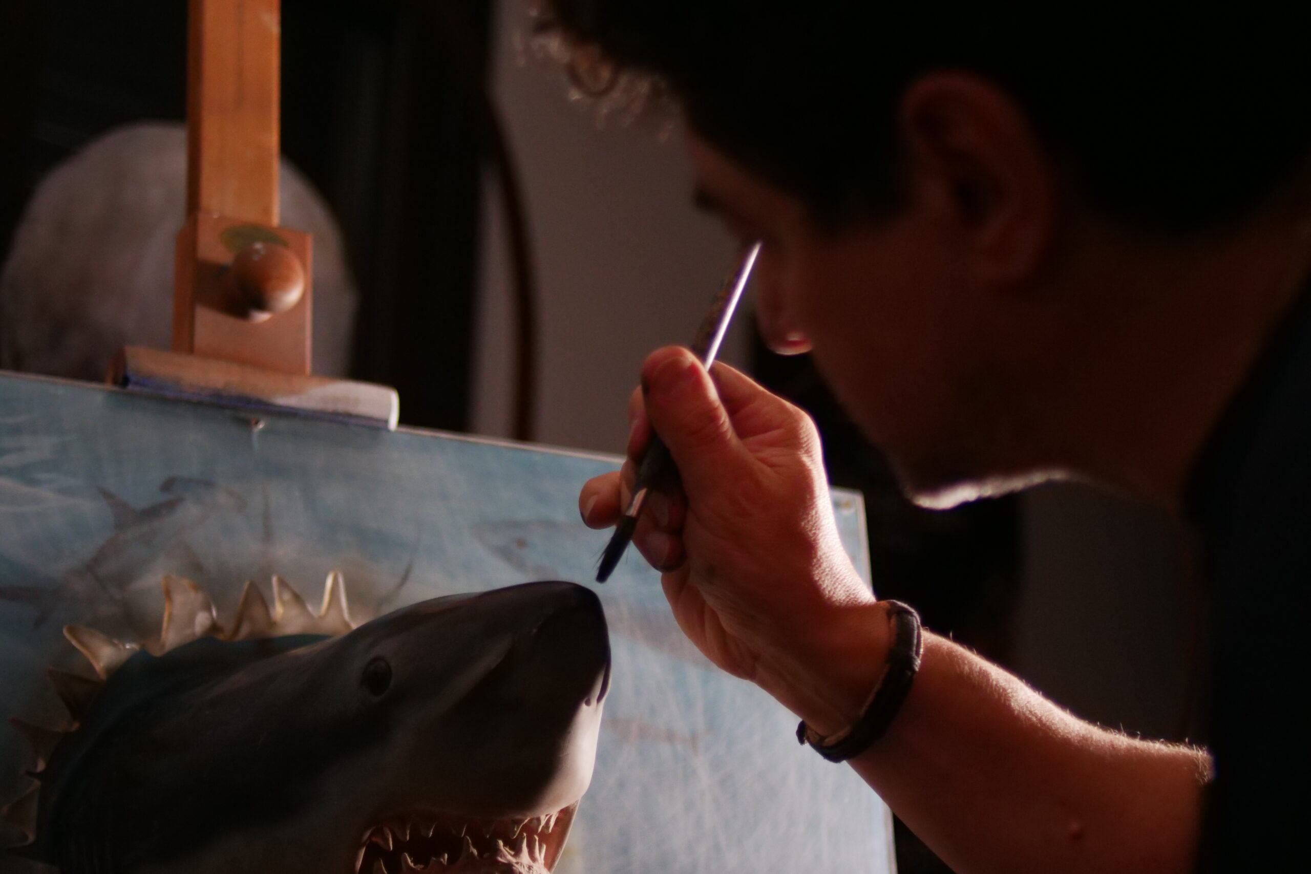 FOTO BACKSTAGE CARLO DICILLO SHARK